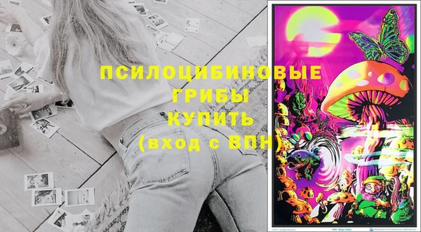 мдпв Лихославль