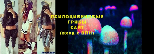 мдпв Лихославль