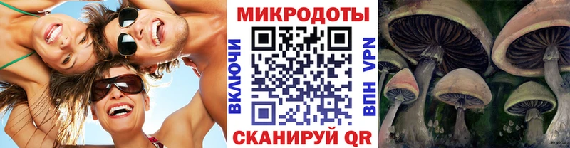продажа наркотиков Мышкин мега рабочий сайт Псилоцибиновые грибы Magic Shrooms